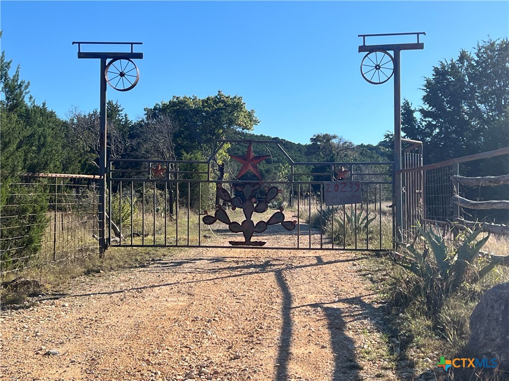 20239 Stillman Valley Road Florence, TX 76527 - Photo 35 of 35 a view of a park with iron fence