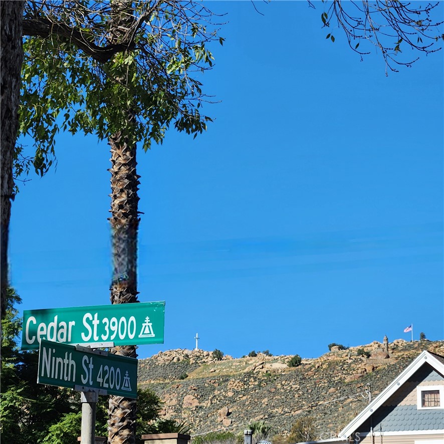 4280 9th Street Riverside, CA 92501 - Photo 8 of 11 a picture of a tree