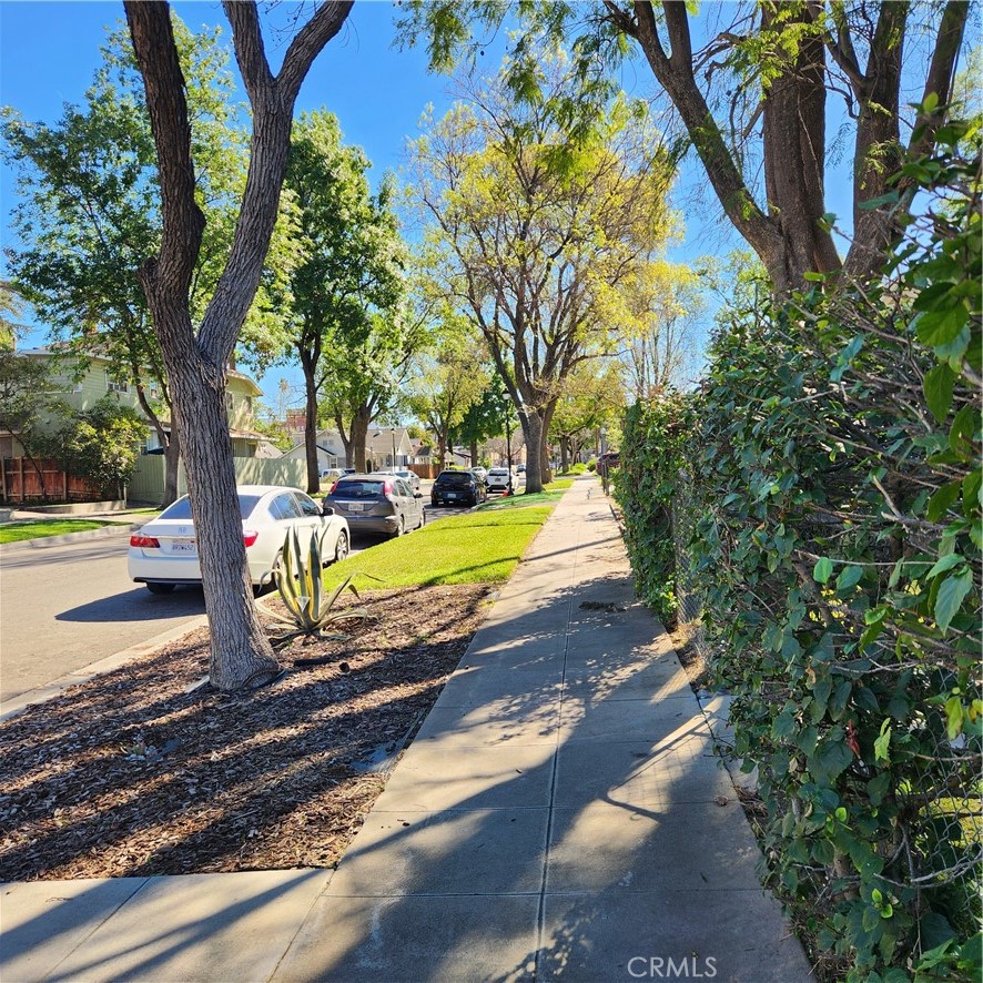 4280 9th Street Riverside, CA 92501 - Photo 9 of 11 a view of a park with large trees