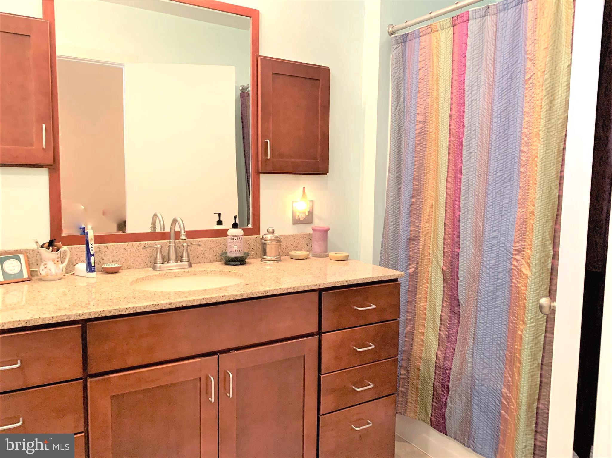 13 Arden Way New Hope, PA 18938 - Photo 18 of 36 Updated bathroom