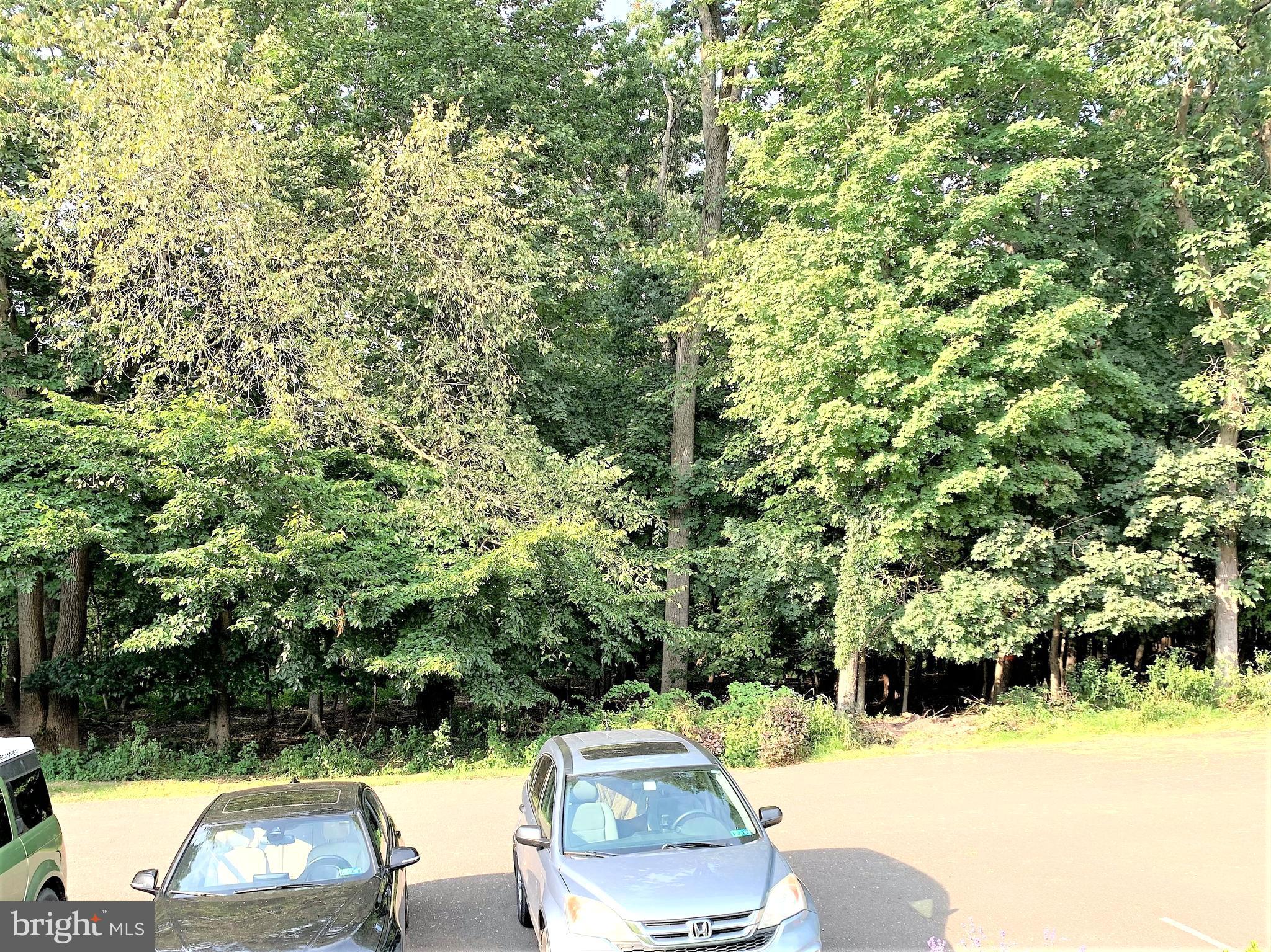 13 Arden Way New Hope, PA 18938 - Photo 32 of 36 Wooded view from front of home