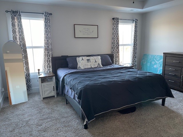 1191 Southside Road Southside, TN 37171 - Photo 23 of 34 a bedroom with a bed and a window