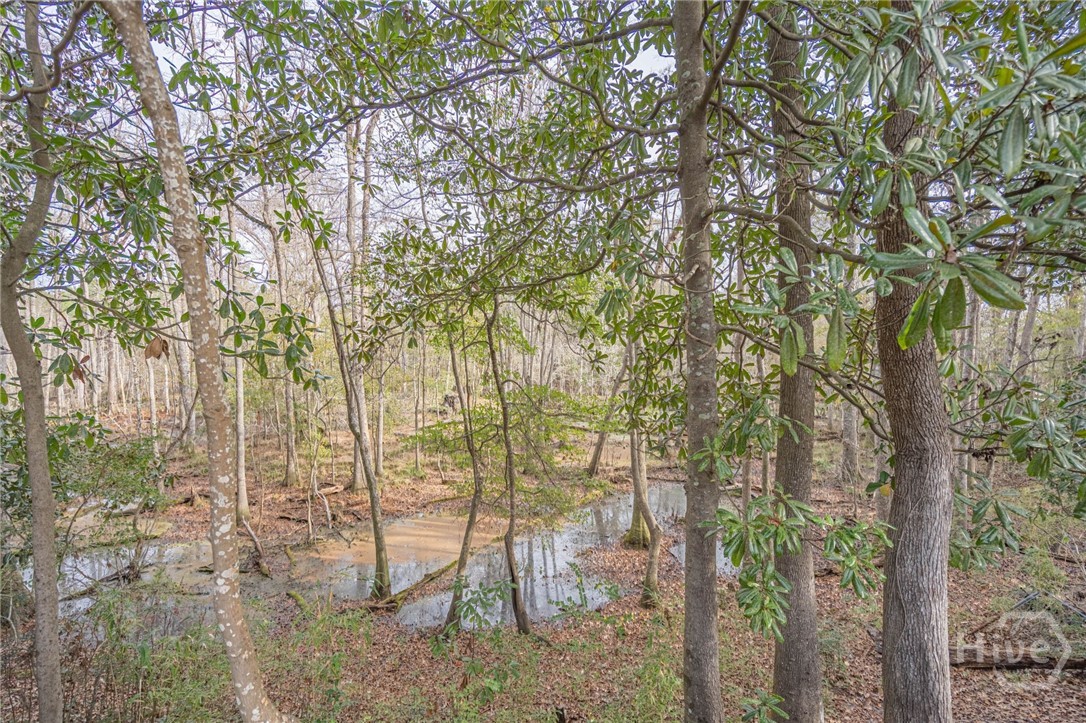 179 Hawk Hammock Road Springfield, GA 31329 - Photo 62 of 63