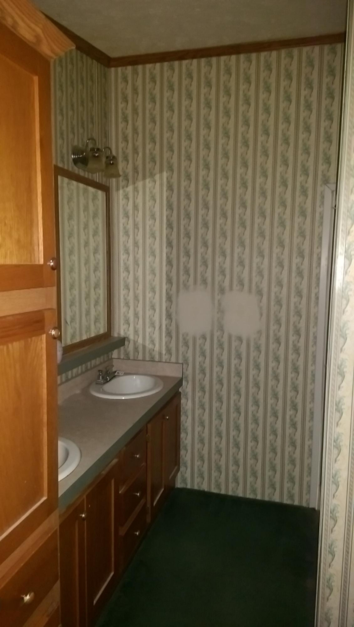 4116 East Buchanan Road Shelby, MI 49455 - Photo 15 of 17 master bath