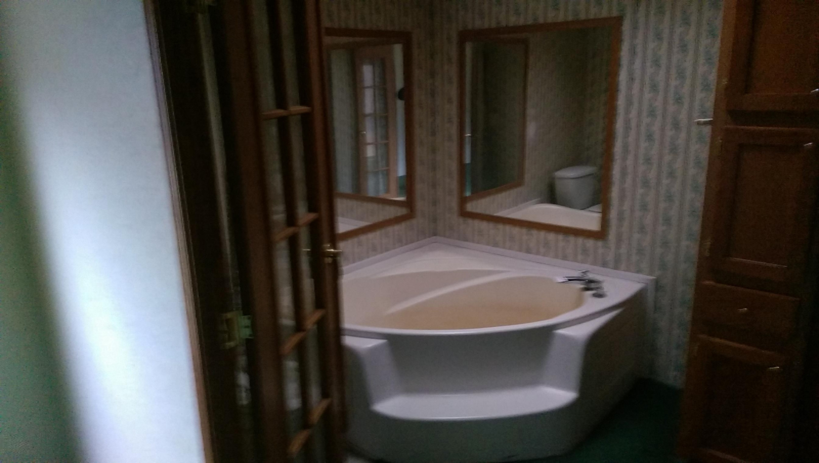 4116 East Buchanan Road Shelby, MI 49455 - Photo 16 of 17 master bathtub