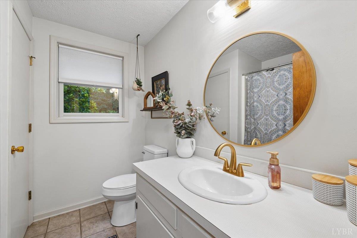 3289 Peaks Road Bedford, VA 24523 - Photo 48 of 71 a bathroom with a toilet sink and mirror