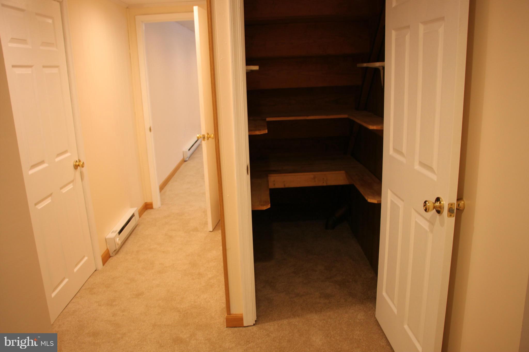 15834 Lockwood Road Williamsport, MD 21795 - Photo 21 of 24 Interior (General) PANTRY