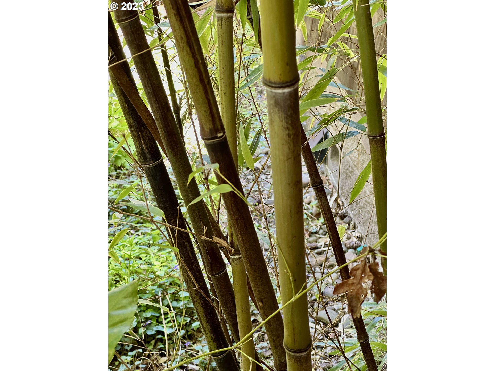 201 Spyglass Drive Eugene, OR 97401 - Photo 32 of 32