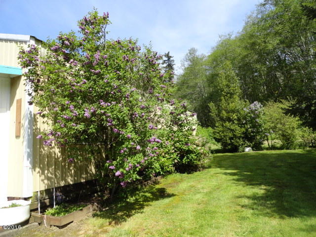 1230 Moonshine Park Road Logsden, OR 97357 - Photo 7 of 34 Lilacs