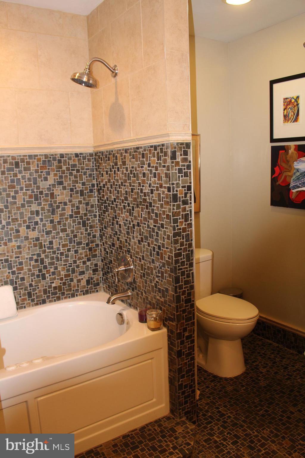 703 Justin Way Silver Spring, MD 20901 - Photo 16 of 30 Master bath