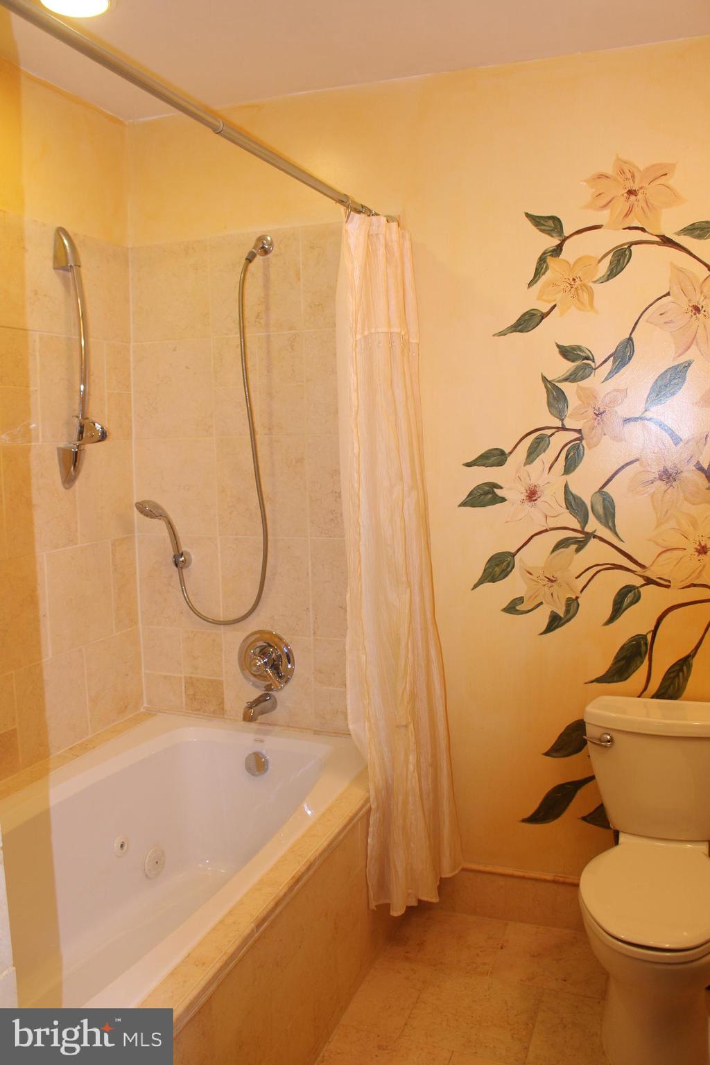703 Justin Way Silver Spring, MD 20901 - Photo 23 of 30 2nd floor bathroom