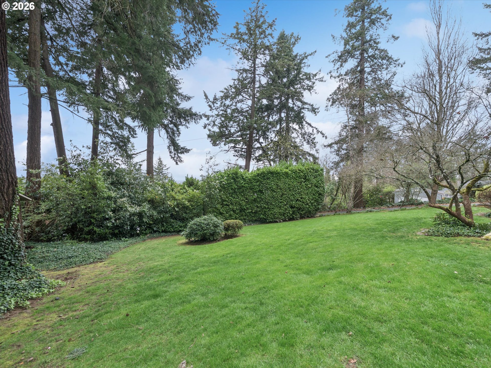 8401 Southwest Canyon Lane Portland, OR 97225 - Photo 13 of 48 a view of a garden with trees