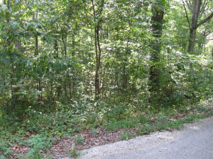 3 Rr Shoals, IN 47581 - Photo 2 of 3