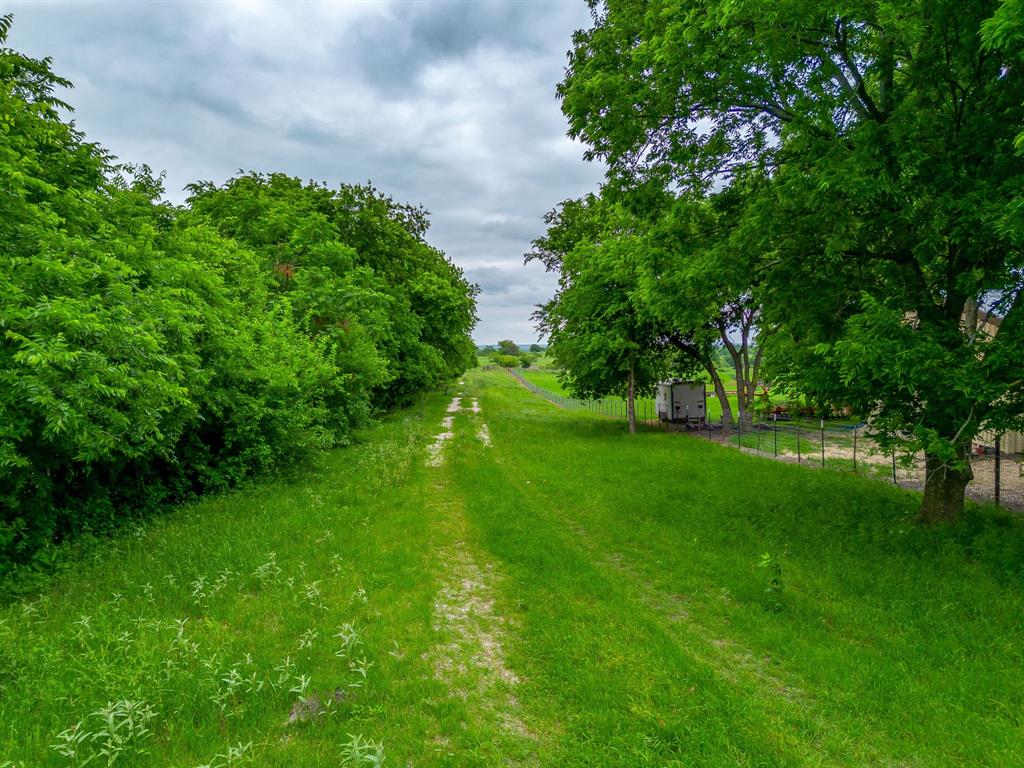 1120 Rio Vista Blum, TX 76627 - Photo 5 of 8 a view of a garden with a tree