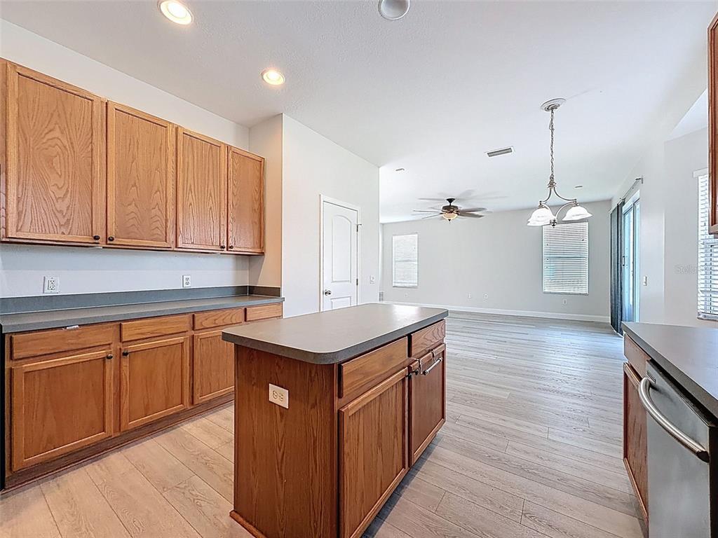 3311 Sisal Loop Wesley Chapel, FL 33544 - Photo 13 of 85