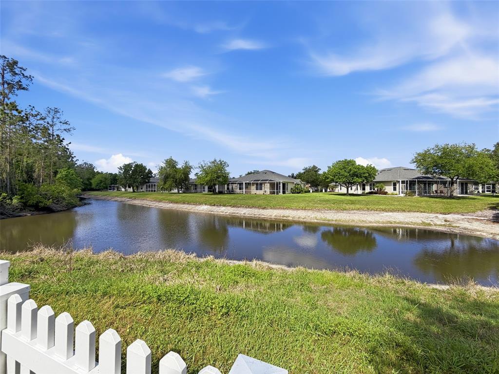 3311 Sisal Loop Wesley Chapel, FL 33544 - Photo 69 of 85 a view of a lake with houses in the back