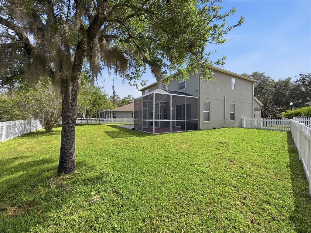 3311 Sisal Loop Wesley Chapel, FL 33544 - Photo 71 of 85 a view of a house with backyard and tree