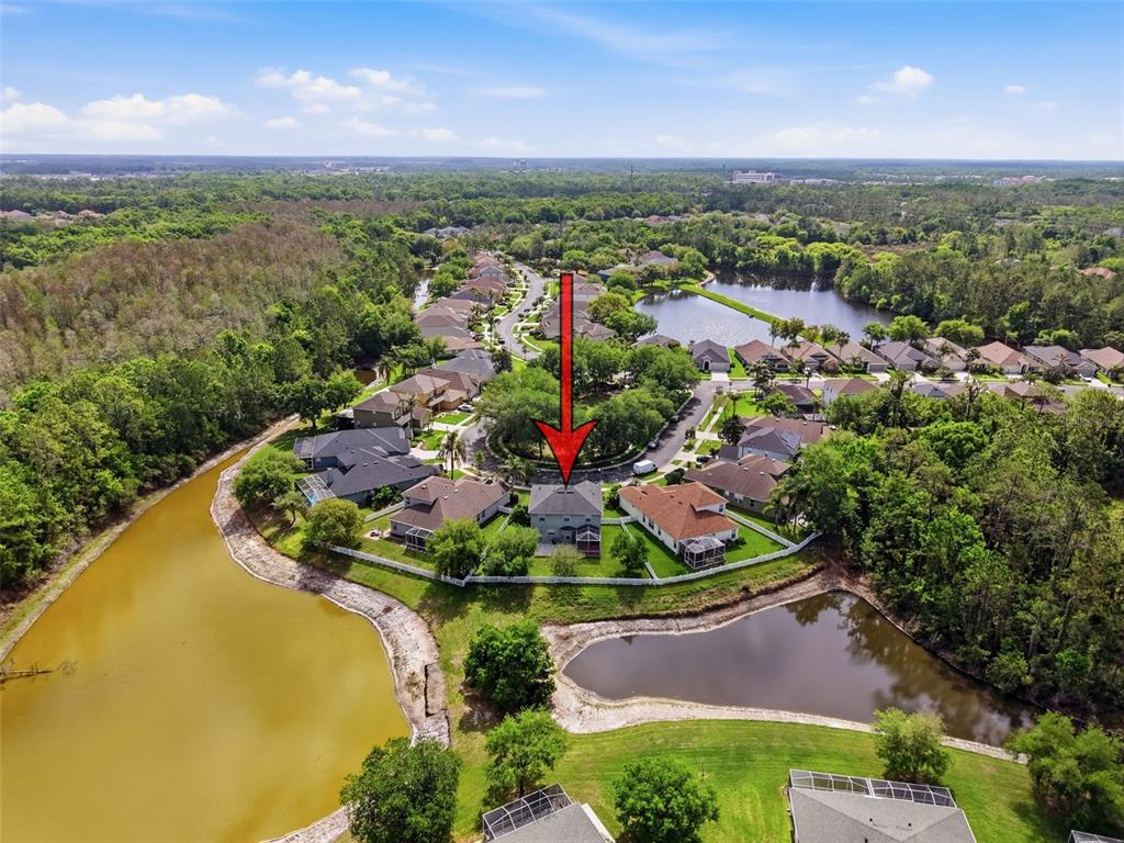 3311 Sisal Loop Wesley Chapel, FL 33544 - Photo 73 of 85