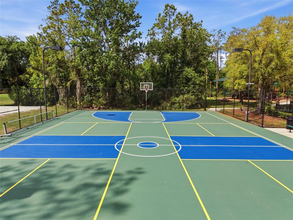 3311 Sisal Loop Wesley Chapel, FL 33544 - Photo 75 of 85