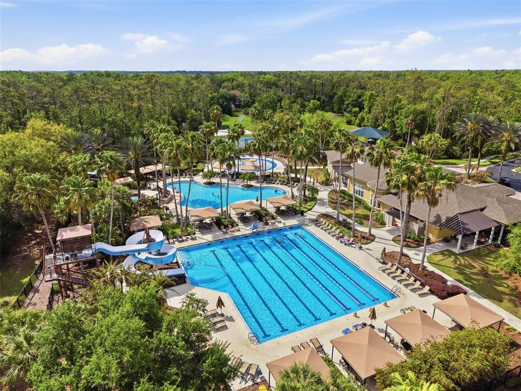 3311 Sisal Loop Wesley Chapel, FL 33544 - Photo 81 of 85 a view of a swimming pool with outdoor seating and green space