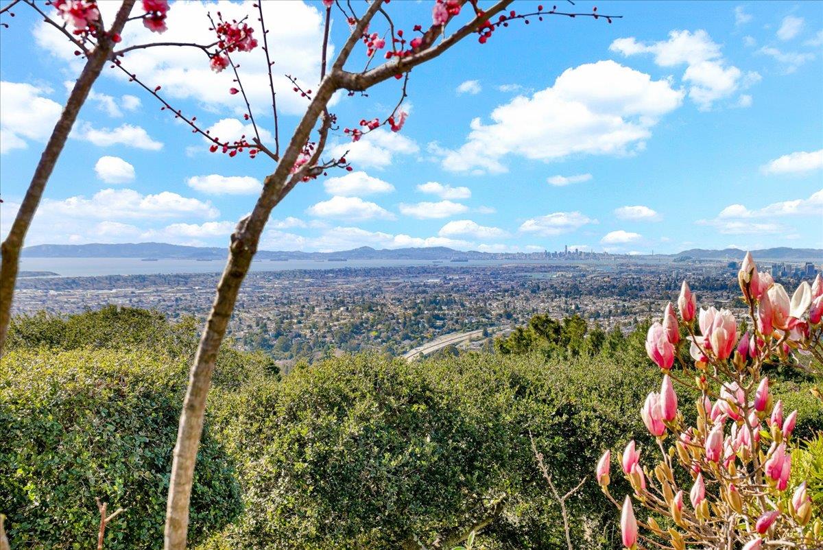 6061 Ridgemont Drive Oakland, CA 94619 - Photo 71 of 90