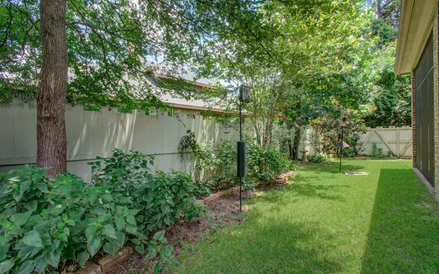 a view of a park with palm trees