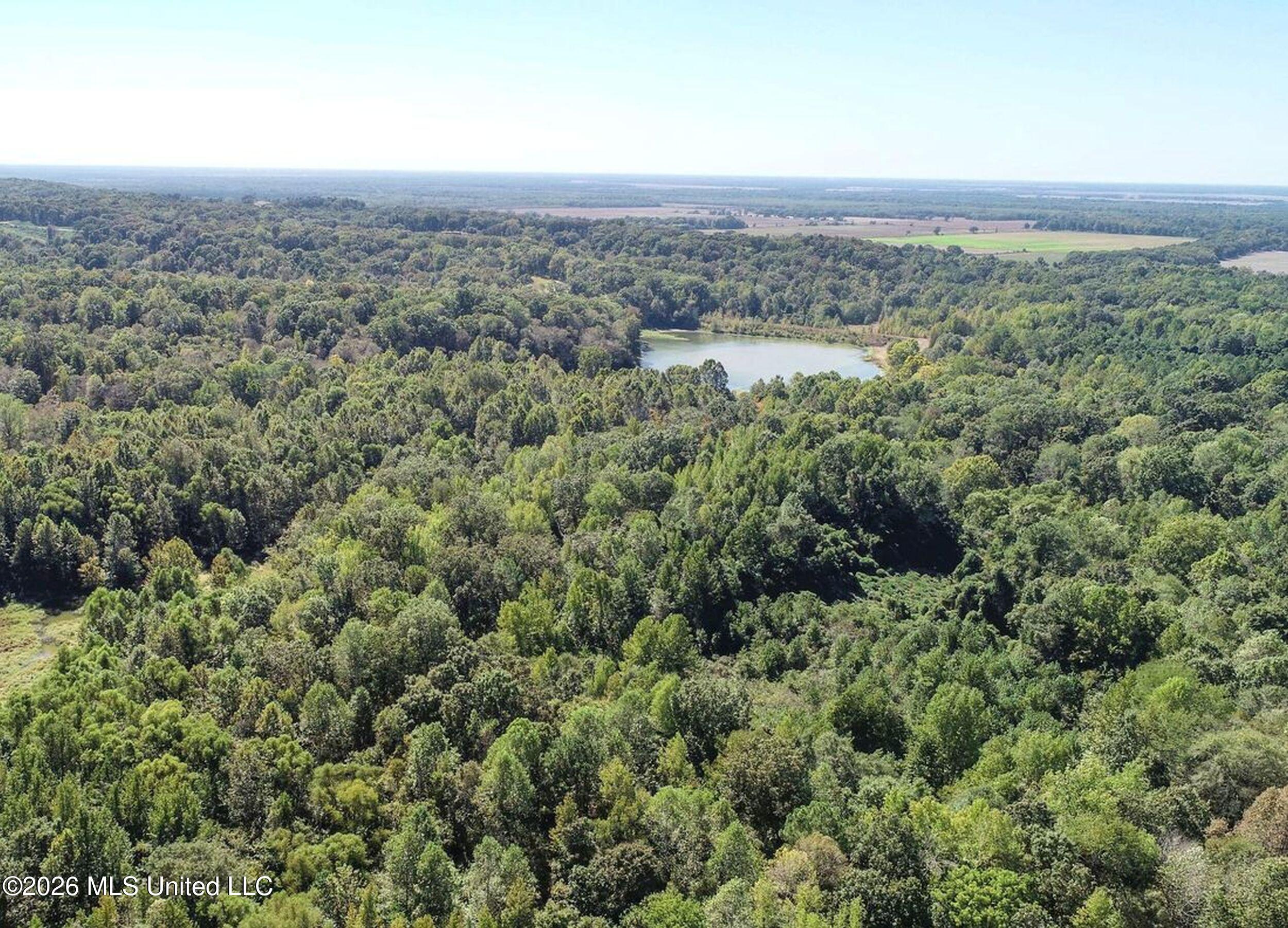 173 Cascilla Road Holcomb, MS 38940 - Photo 16 of 67 3csrdg10