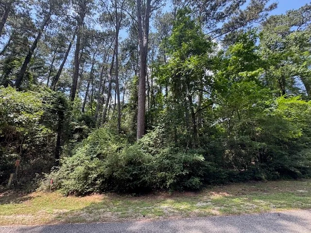 $2,500 | Tbd04 Doral, Trinity, TX 75862