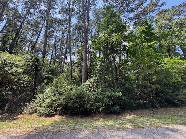 Tbd04 Doral Trinity, TX 75862 - Photo 2 of 7