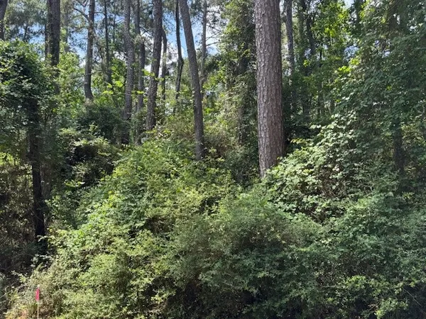 $2,500 | Tbd04 Doral, Trinity, TX 75862