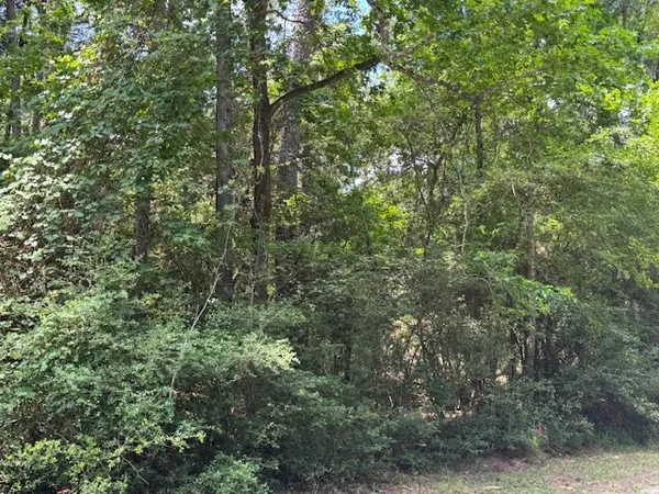 $2,500 | Tbd04 Doral, Trinity, TX 75862