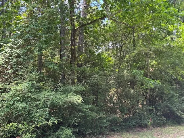 $2,500 | Tbd04 Doral, Trinity, TX 75862