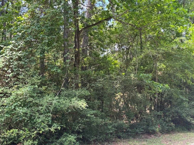 Tbd04 Doral Trinity, TX 75862 - Photo 4 of 7