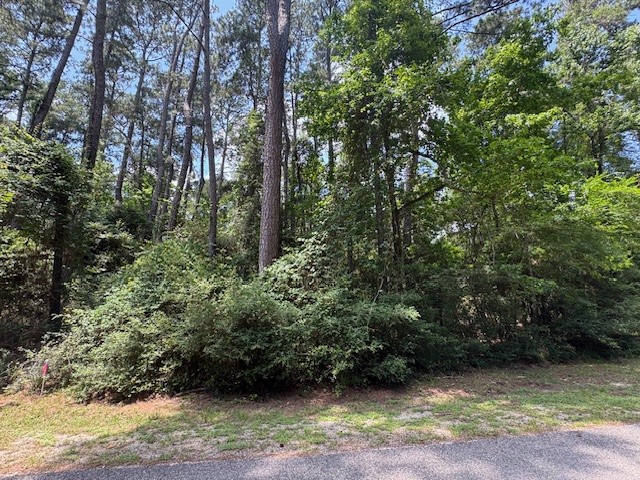 Tbd04 Doral Trinity, TX 75862 - Photo 5 of 7