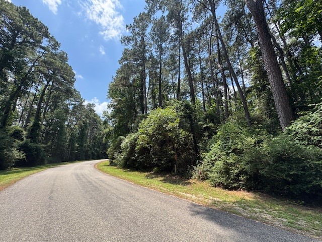 Tbd04 Doral Trinity, TX 75862 - Photo 6 of 7