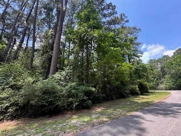 $2,500 | Tbd04 Doral, Trinity, TX 75862