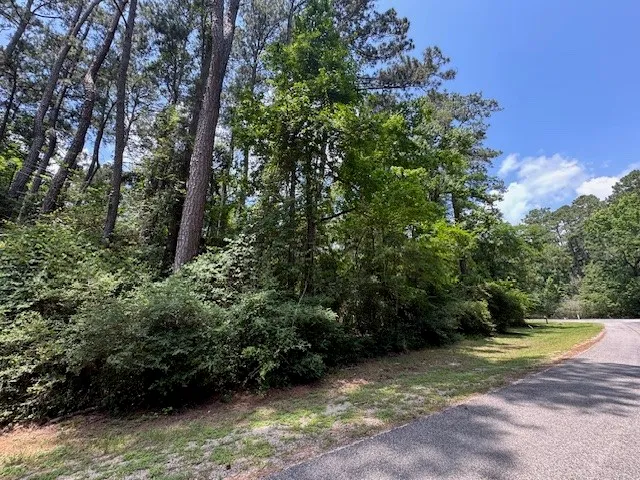 $2,500 | Tbd04 Doral, Trinity, TX 75862