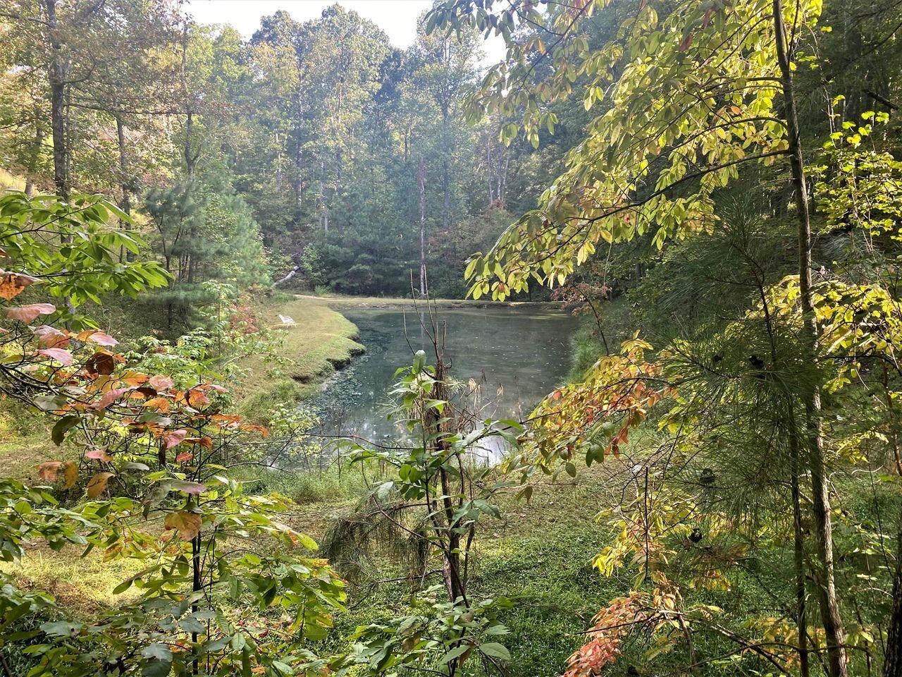 0 Narroway Church Circle Dallas, GA 30132 - Photo 1 of 1 a view of a lake with large trees