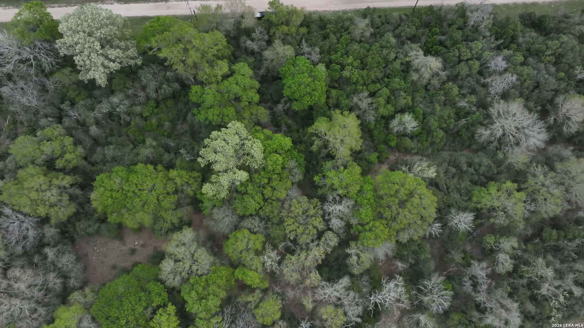 25 St Hempstead, TX 77445 - Photo 5 of 12