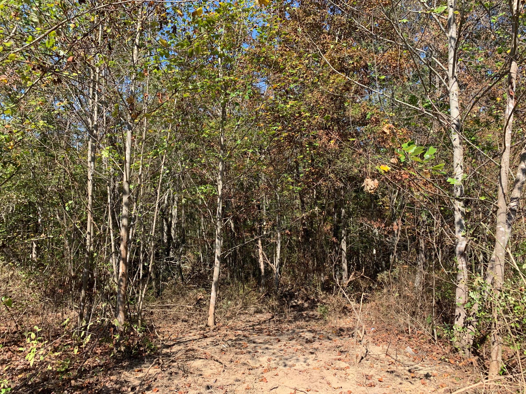 153 Howards Branch Road Hinton, WV 25951 - Photo 10 of 13 Gallery Image 10
