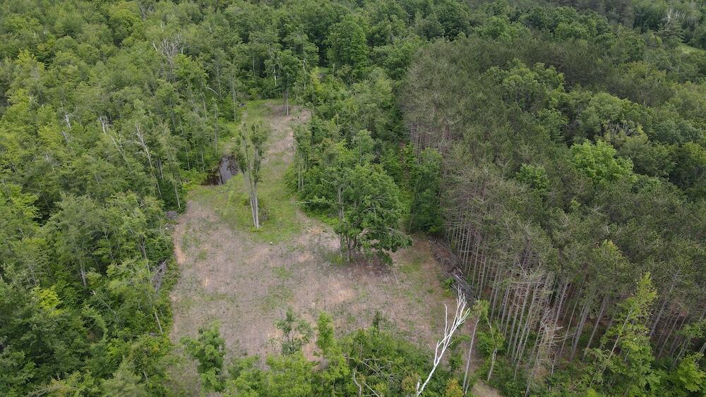 1692 North Galbraith Road Mio, MI 48647 - Photo 13 of 82 9