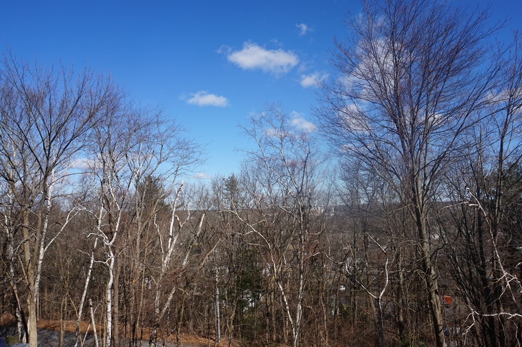 3 Summit Drive, Unit 19 Reading, MA 01867 - Photo 17 of 19