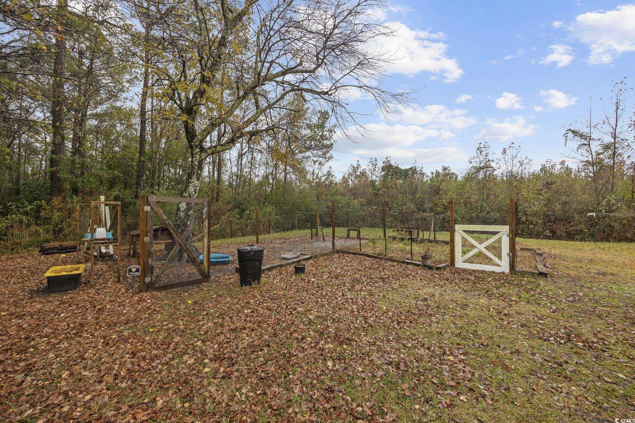 5180 Graham Street Loris, SC 29569 - Photo 23 of 28 View of grassy yard featuring a trampoline