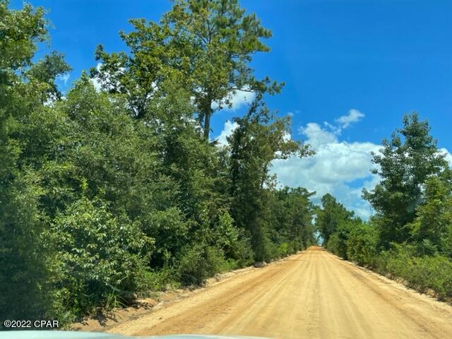 0 Skyview Road Marianna, FL 32446 - Photo 5 of 10