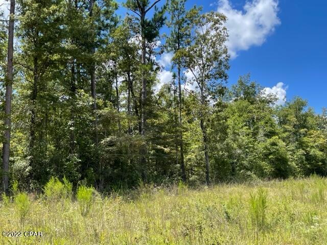 0 Skyview Road Marianna, FL 32446 - Photo 7 of 10