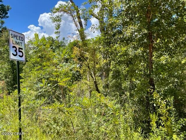 0 Skyview Road Marianna, FL 32446 - Photo 8 of 10