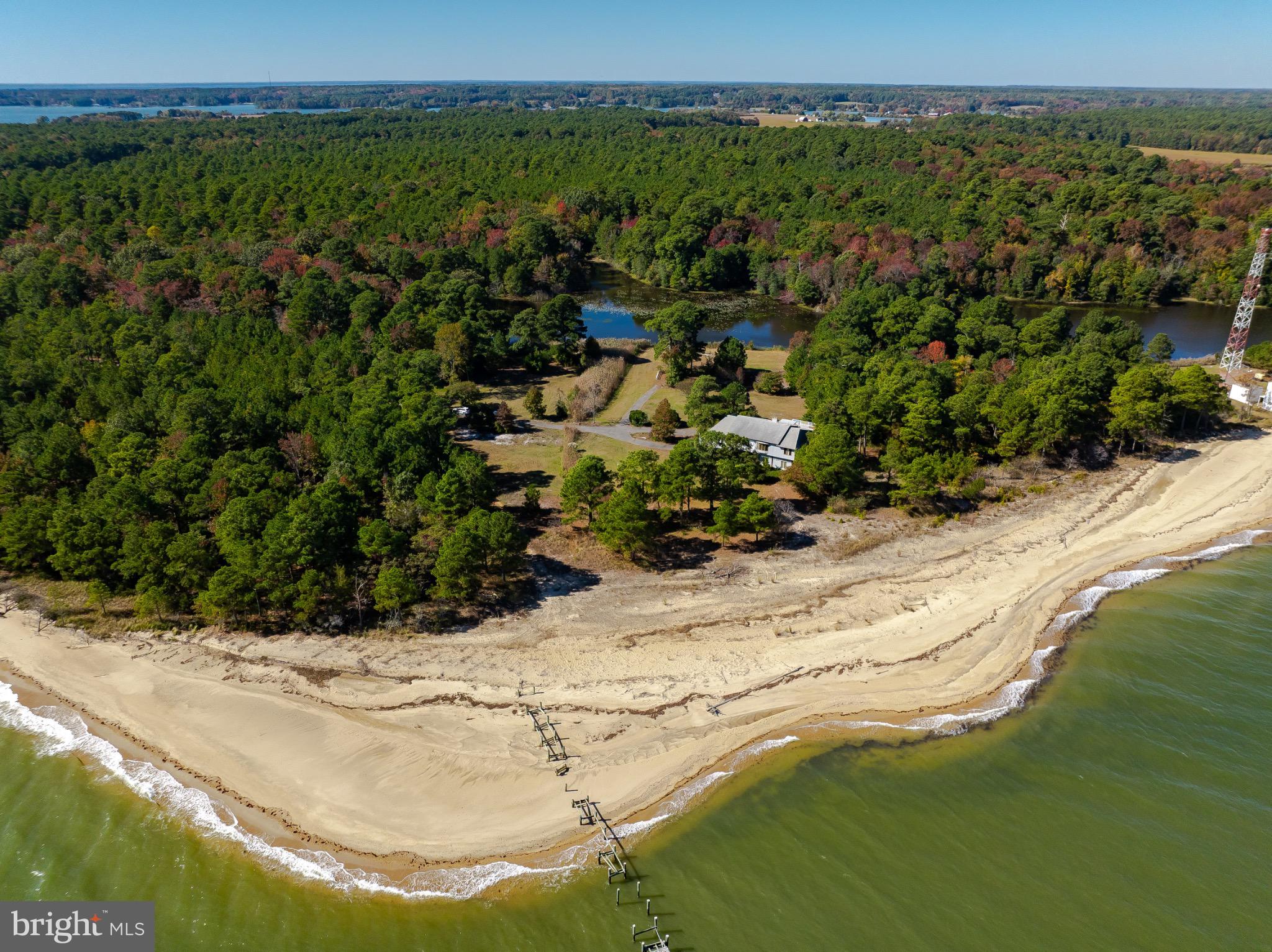 50645 Holly Point Road Dameron, MD 20628 - Photo 7 of 99