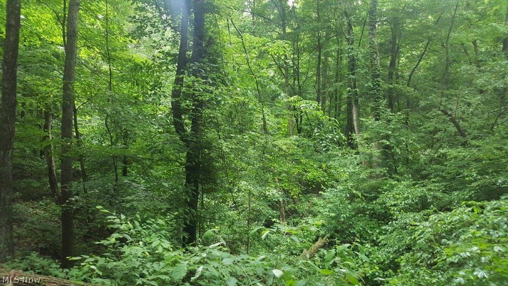 5846 Holmes Church Road Northeast New Philadelphia, OH 44663 - Photo 13 of 34