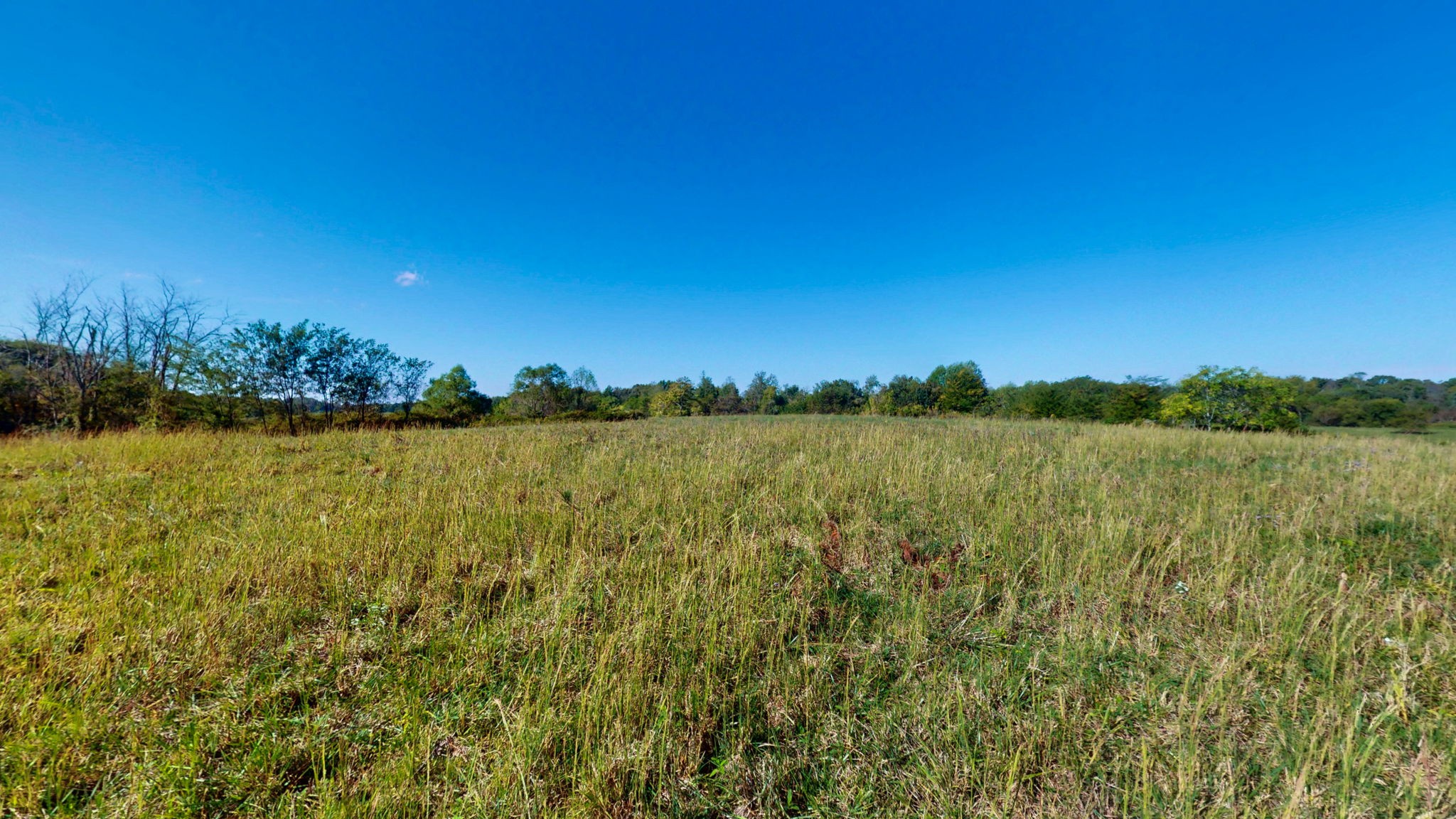 0 Old Murray Paris Road Puryear, TN 38251 - Photo 5 of 18 a view of a lake with houses in the background