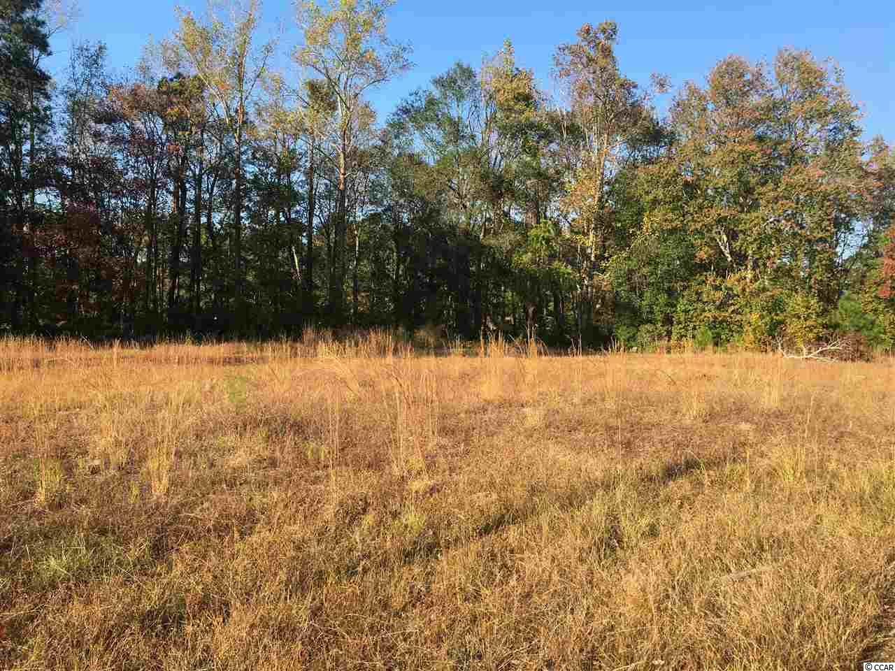 489 Brood Court Conway, SC 29526 - Photo 1 of 14 Gallery Image 1